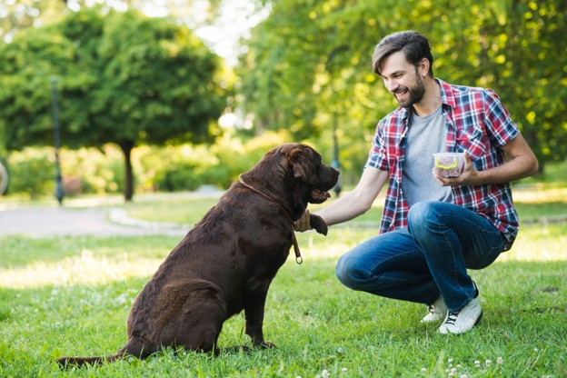 Giving a Dog More Freedom